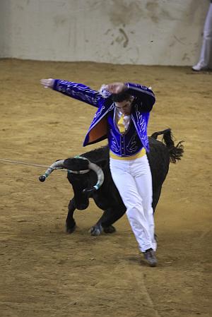 JCD_2947