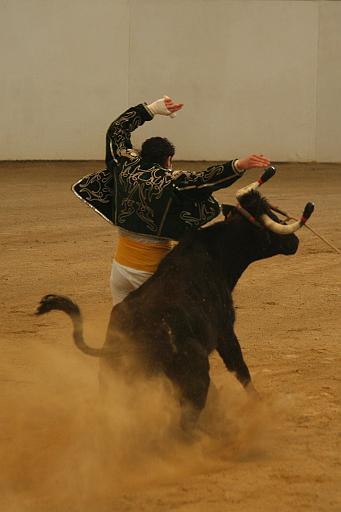 JCD_2317