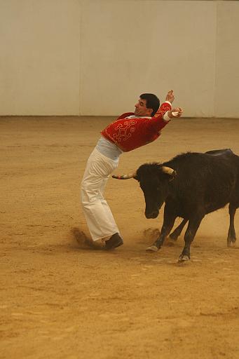 JCD_2350