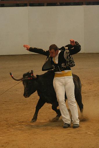 JCD_2402