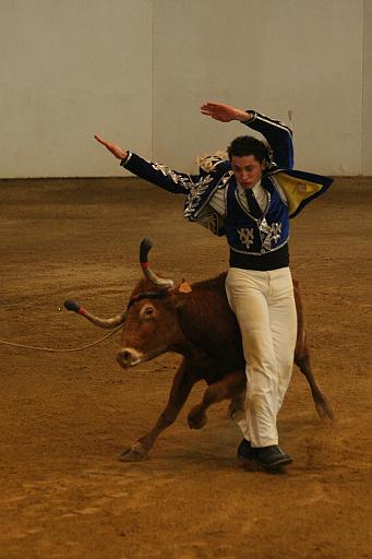 JCD_2433