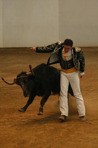 JCD_2462