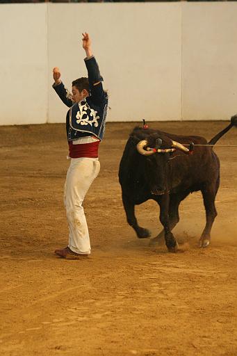 JCD_2517