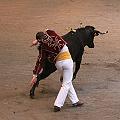 JCD_6238