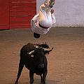 JCD_6257