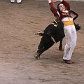 JCD_6264