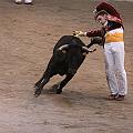 JCD_6265