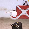 JCD_6290