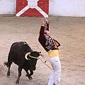 JCD_6295
