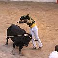 JCD_6337