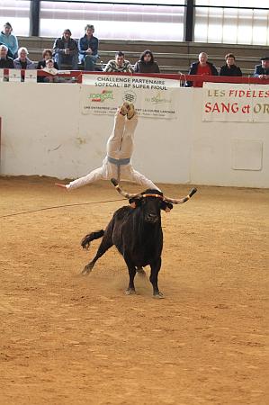 JCD_8554