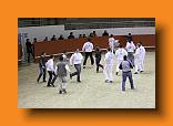 IMG_3946