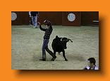IMG_4003