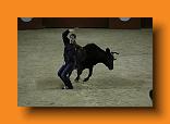 IMG_4037