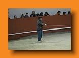 IMG_4061