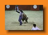 IMG_4086