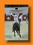 IMG_4105