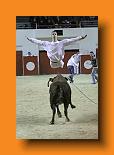 IMG_4106
