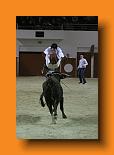 IMG_4117