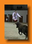 IMG_4123