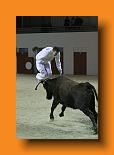 IMG_4127