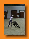 IMG_4144