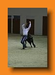 IMG_4146