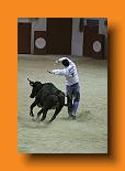 IMG_4160