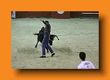 IMG_4191