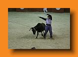 IMG_4208