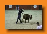 IMG_4245