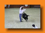 IMG_4258