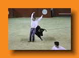 IMG_4260