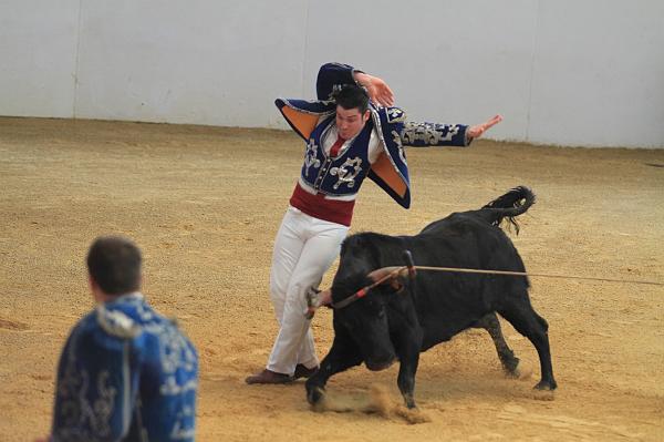 JCD_13483