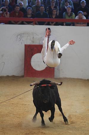 JCD_13506