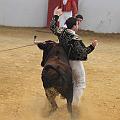 JCD_13548