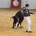 JCD_13558