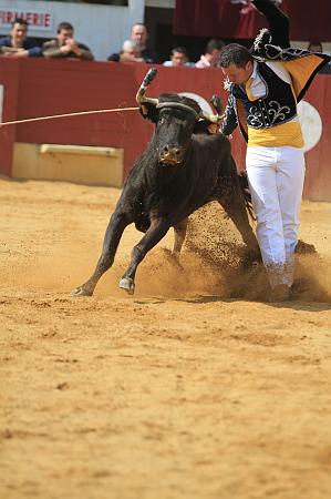 JCD_14772