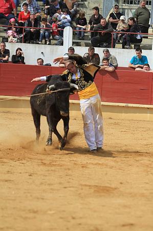 JCD_14874