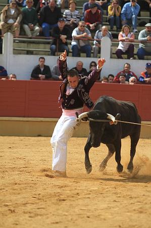 JCD_14912