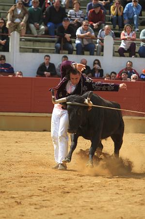 JCD_14913