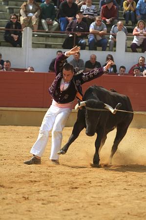 JCD_14917