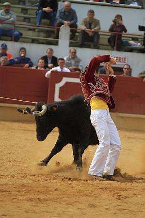 JCD_14942