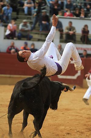 JCD_14949