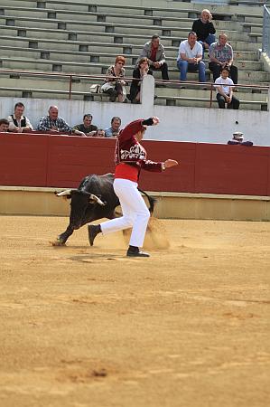 JCD_14986