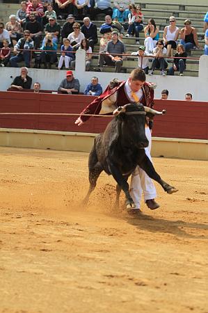 JCD_15014