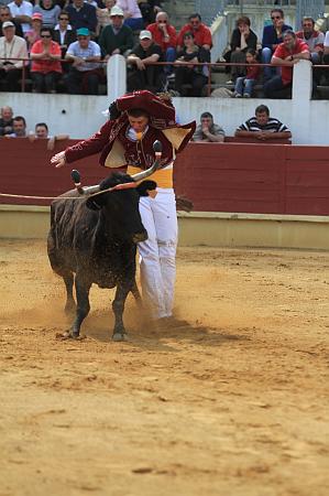 JCD_15139