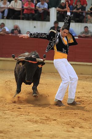 JCD_15154