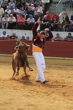 JCD_15189