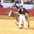 JCD_14469